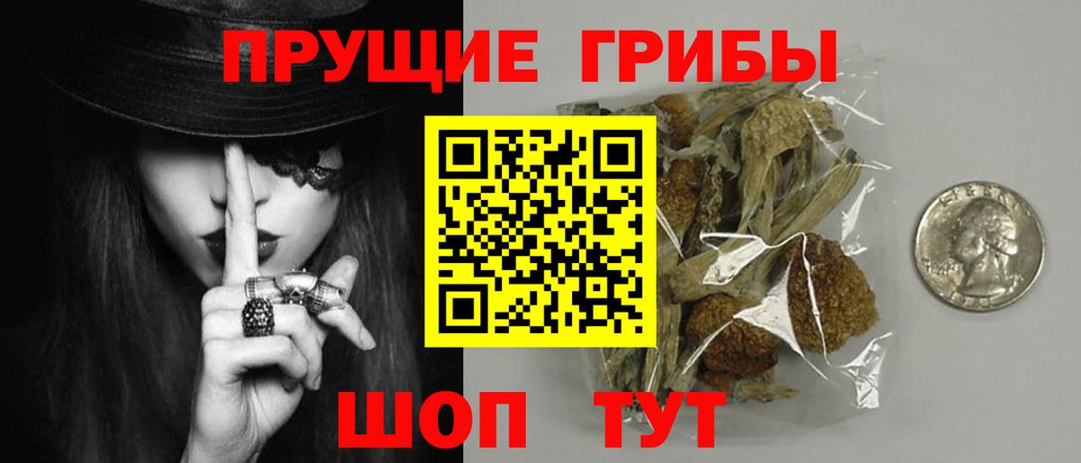 Рассказово  Галлюциногенные грибы мухоморы  Вход с VPN 