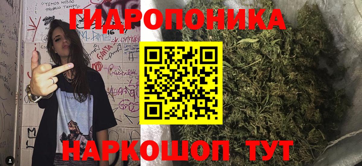 Марихуана OG Kush Рассказово